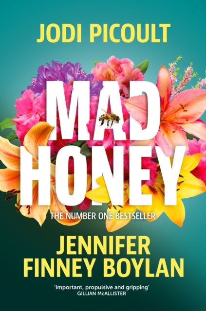 Mad Honey - an absolutely heart-pounding and heart-breaking book club novel