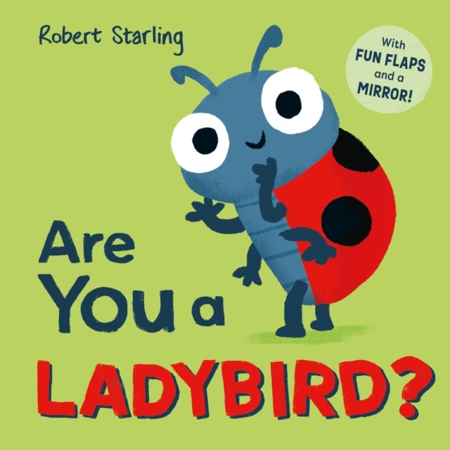 Are You a Ladybird? - With Lift-the-Flaps and a Mirror!