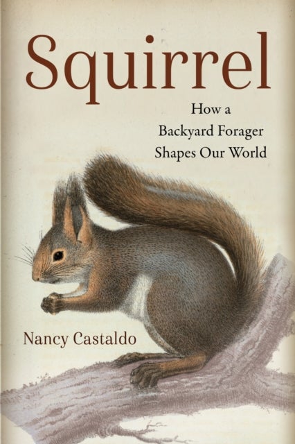 Squirrel - How a Backyard Forager Shapes Our World