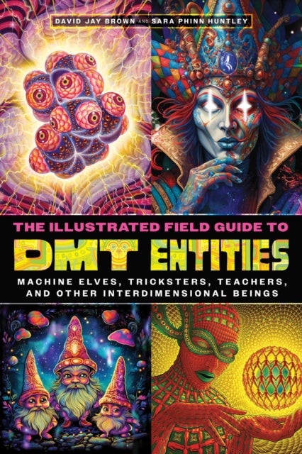 The Illustrated Field Guide to DMT Entities - Machine Elves, Tricksters, Teachers, and Other Interdimensional Beings