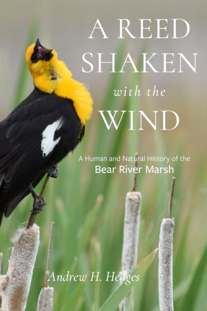 A Reed Shaken with the Wind - A Human and Natural History of the Bear River Marsh