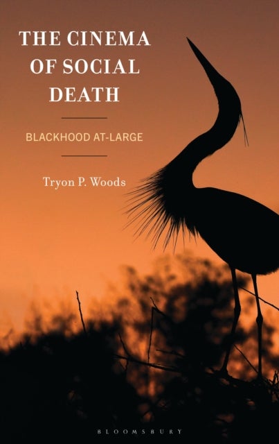 The Cinema of Social Death - Blackhood At-Large