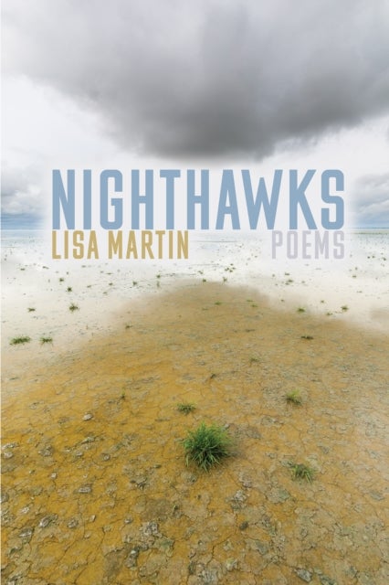 Nighthawks