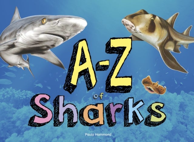 A-Z of Sharks - The alphabet of the shark world, from Angel Shark to Zebra Shark