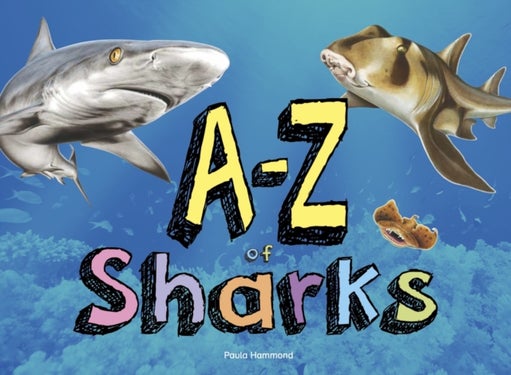 A-Z of Sharks - The alphabet of the shark world, from Angel Shark to Zebra Shark
