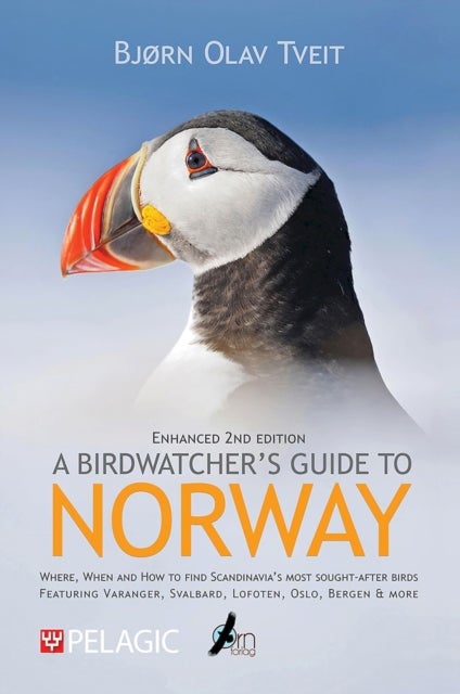 A Birdwatcher’s Guide to Norway - Where, when and how to find Scandinavia’s most sought-after birds