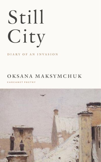 Still City - A Diary of an Invasion