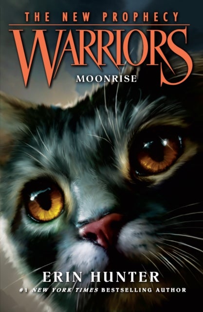 MOONRISE
