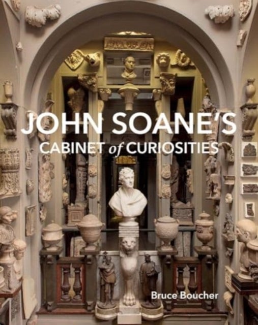 John Soane's Cabinet of Curiosities - Reflections on an Architect and His Collection