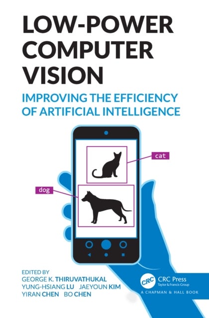 Low-Power Computer Vision - Improve the Efficiency of Artificial Intelligence
