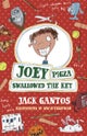 Joey Pigza Swallowed The Key