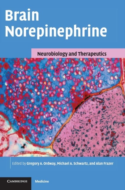Brain Norepinephrine - Neurobiology and Therapeutics