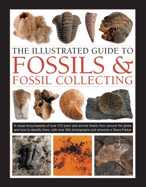 Fossils & Fossil Collecting, The Illustrated Guide to - A reference guide to over 375 plant and animal fossils from around the globe and how to identify them, with over 950 photographs and artworks