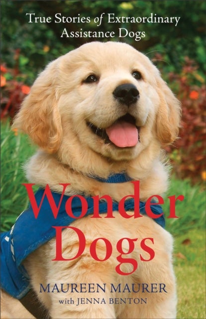 Wonder Dogs ¿ True Stories of Extraordinary Assistance Dogs - True Stories of Extraordinary Assistance Dogs