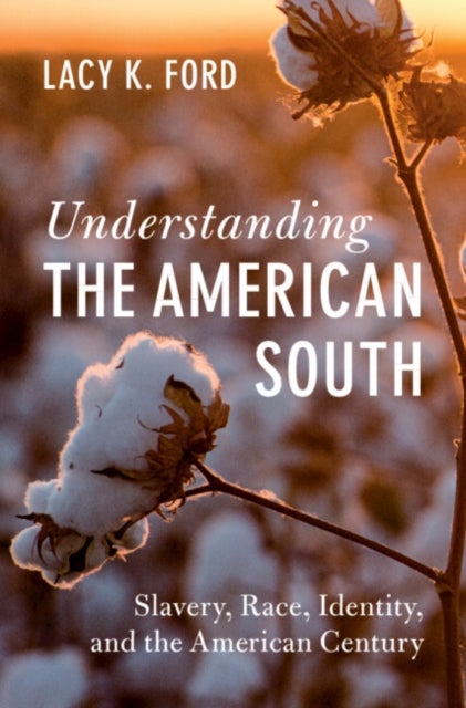 Understanding the American South - Slavery, Race, Identity, and the American Century