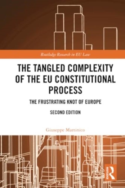 The Tangled Complexity of the EU Constitutional Process - The Frustrating Knot of Europe