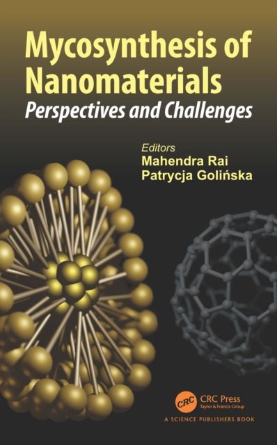 Mycosynthesis of Nanomaterials - Perspectives and Challenges