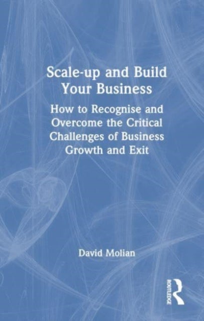 Scale-up and Build Your Business - How to Recognise and Overcome the Critical Challenges of Business Growth and Exit