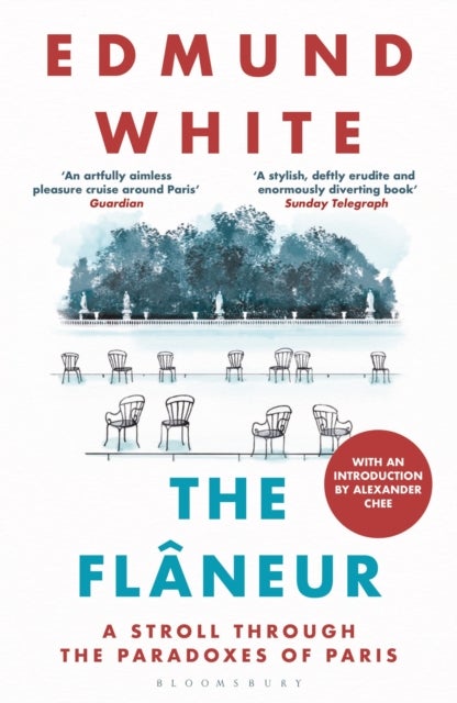 The Flaneur - A Stroll through the Paradoxes of Paris