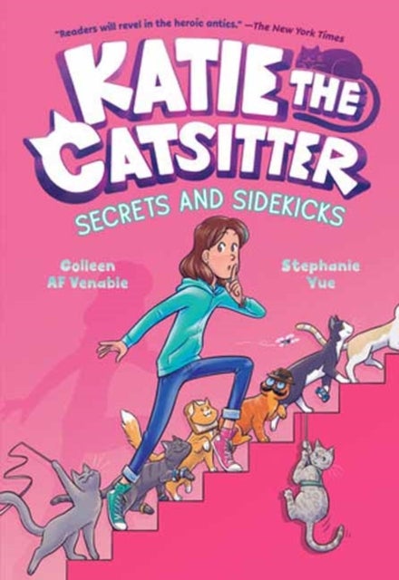 Katie the Catsitter #3: Secrets and Sidekicks - (A Graphic Novel)