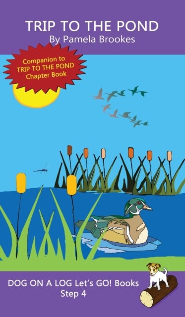 Trip To The Pond - Sound-Out Phonics Books Help Developing Readers, including Students with Dyslexia, Learn to Read (Step 4 in a Systematic Series of Decodable Books)