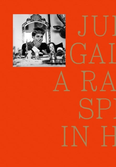 Julio Galan - A rabbit split in half