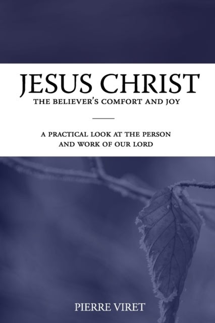 Jesus Christ the Believer's Comfort and Joy - A practical look at the person and work of our Lord
