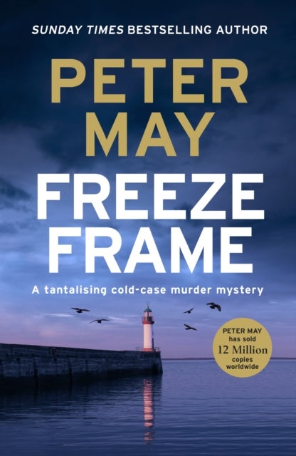 Freeze Frame - An engrossing instalment in the cold-case Enzo series (The Enzo Files Book 4)
