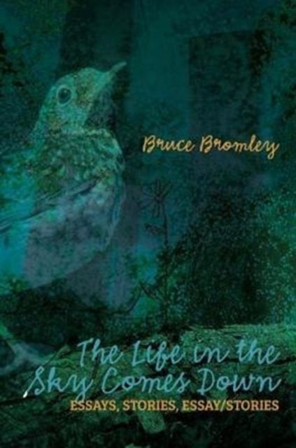 The Life in the Sky Comes Down - Essays, Stories, Essay/Story