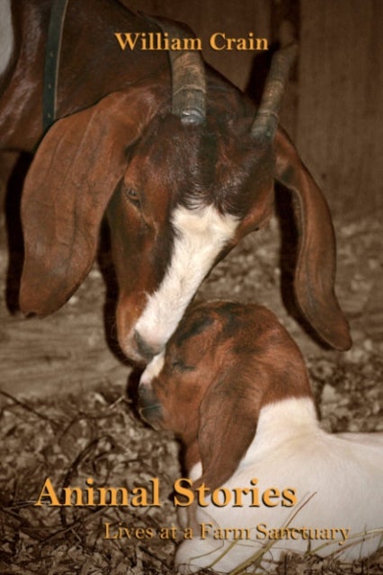 Animal Stories - Lives at a Farm Sanctuary