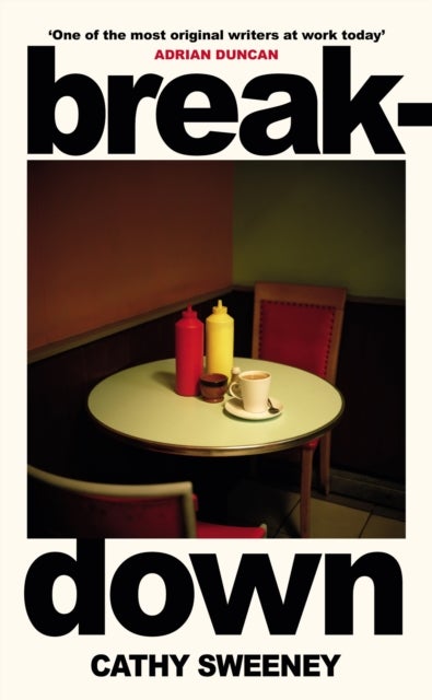 Breakdown - The humane Irish Bestseller about the dark side of modern motherhood