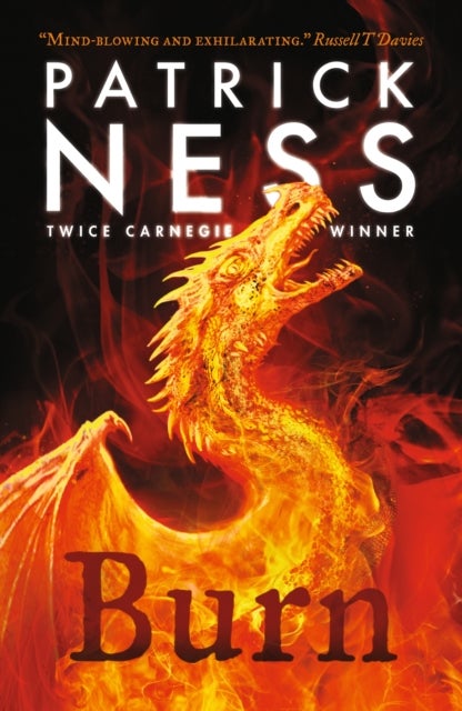 Burn - A highly original, page-turning YA fantasy featuring prejudice, revenge and DRAGONS from a multi-award-winning author
