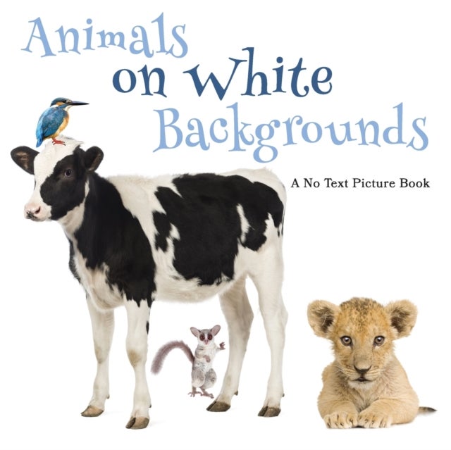 Animals on White Backgrounds, A No Text Picture Book - A Calming Gift for Alzheimer Patients and Senior Citizens Living With Dementia