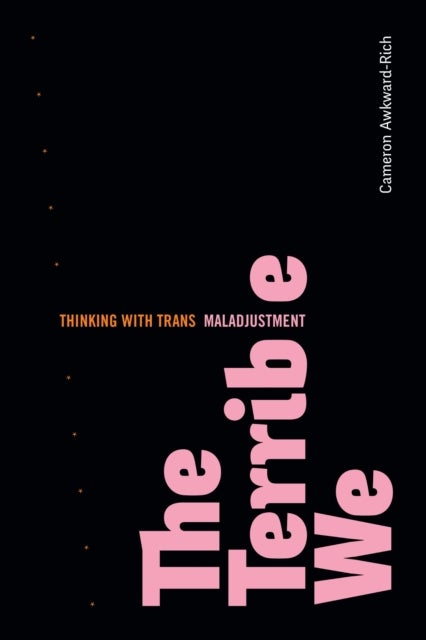 The Terrible We - Thinking with Trans Maladjustment