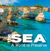 The Sea