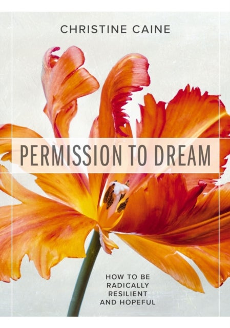 Permission to Dream - How to be Radically Resilient and Hopeful – The Perfect Mother’s Day Gift for Christian Moms