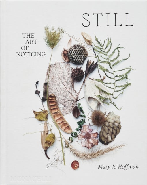 STILL - The Art of Noticing