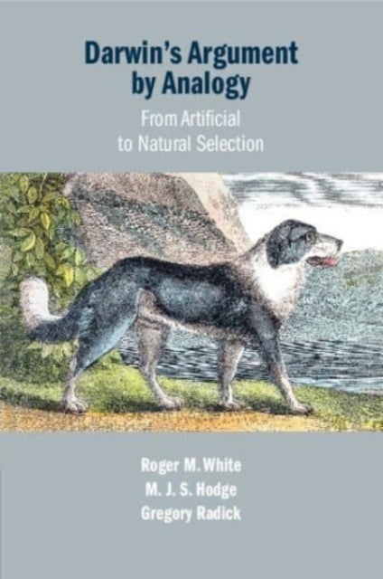 Darwin's Argument by Analogy - From Artificial to Natural Selection