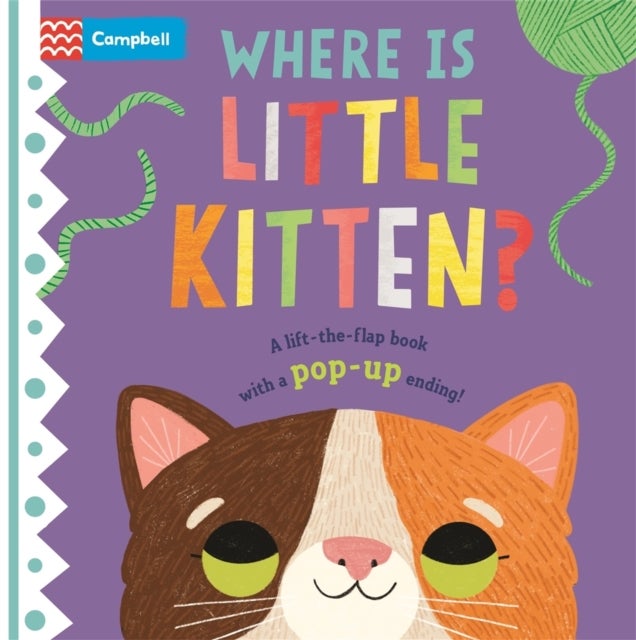 Where is Little Kitten? - The lift-the-flap book with a pop-up ending!