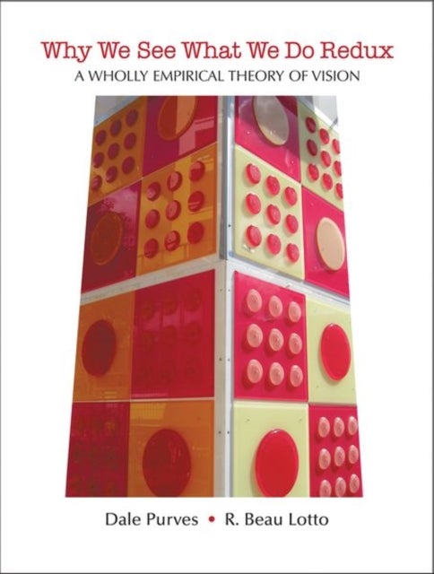 Why We See What We Do Redux - A Wholly Empirical Theory of Vision