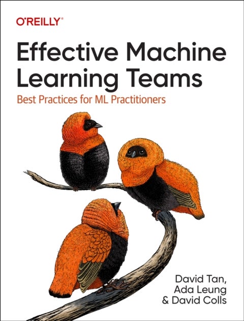 Effective Machine Learning Teams - Best Practices for ML Practitioners