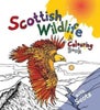 Scottish Wildlife