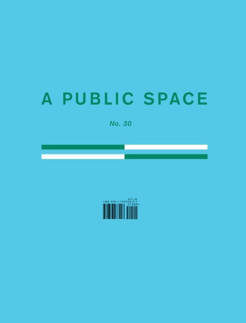 A Public Space No. 30
