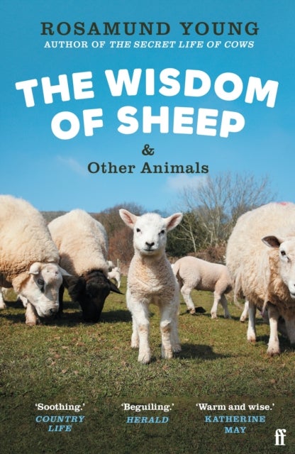 The Wisdom of Sheep & Other Animals - Observations from a Family Farm