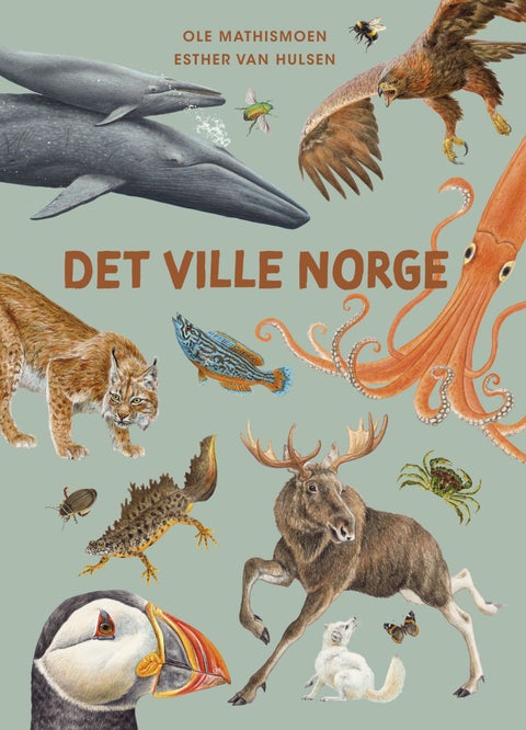 Det ville Norge