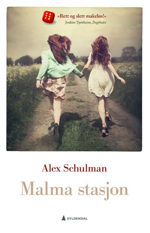 Malma stasjon - roman