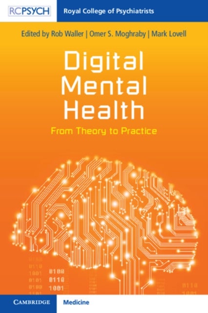 Digital Mental Health - From Theory to Practice