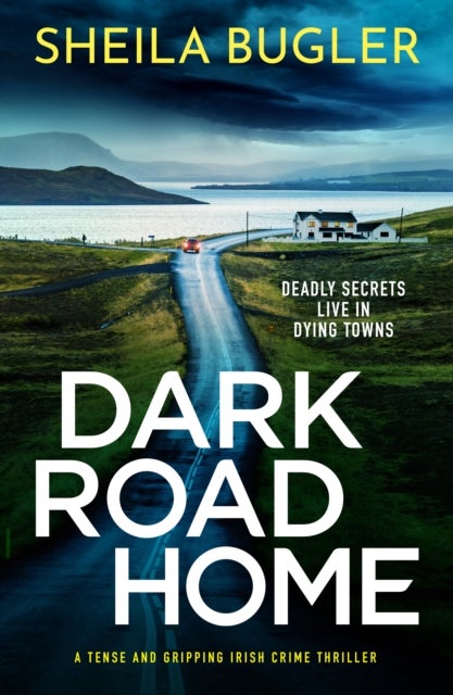 Dark Road Home - A tense and gripping Irish crime thriller