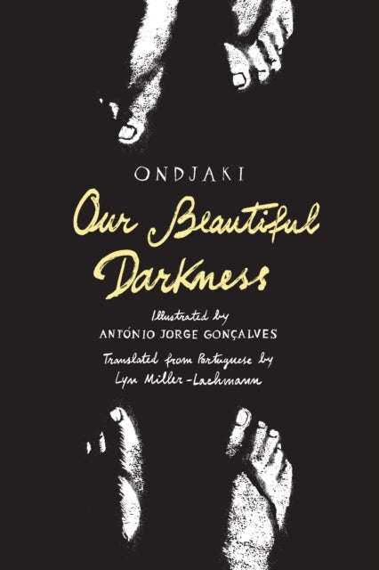 Our Beautiful Darkness - A Graphic Novel