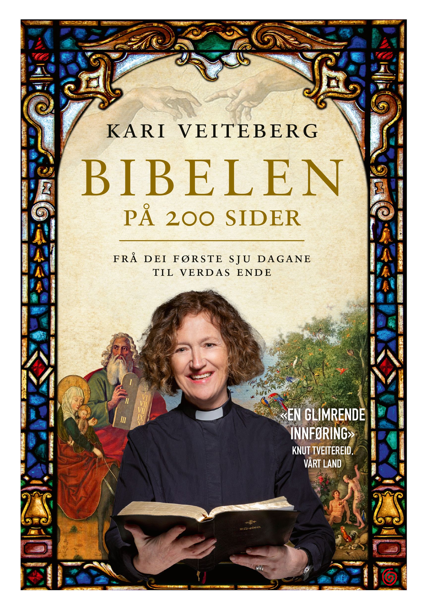 Bibelen på 200 sider - frå dei første sju dagane til verdas ende